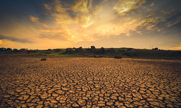 Are Your Finances Dry?