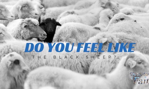 Black Sheep