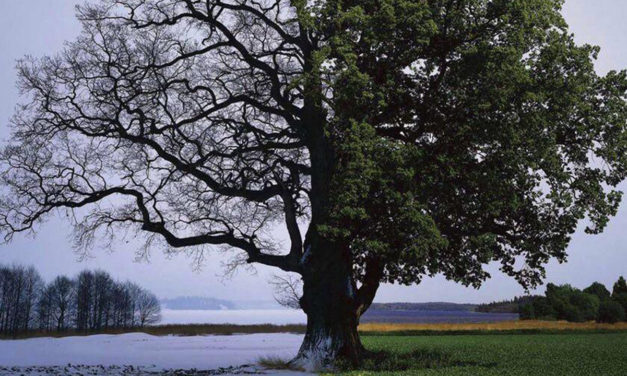 How do I know if I’m blessed or cursed?