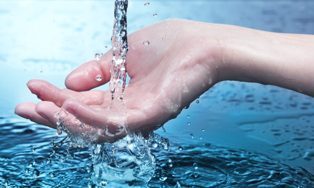 Purification