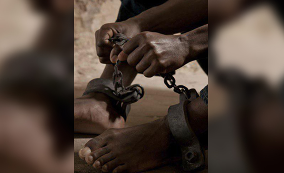 A “Free” Slave