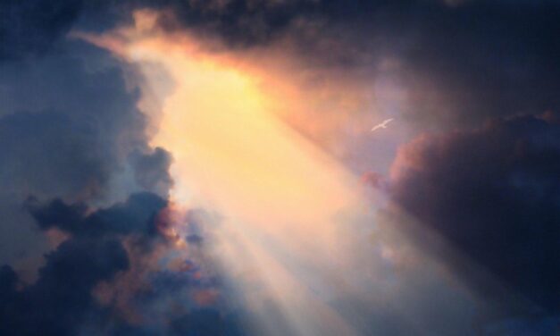 Let There Be LIGHT!