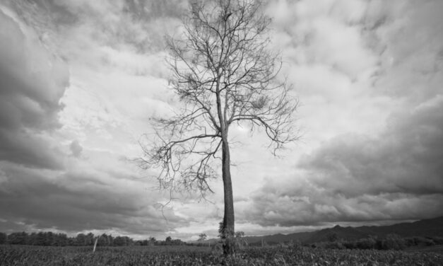 Withering Away