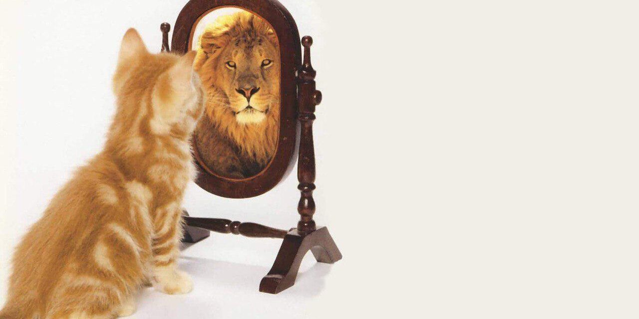Everybody Will See…