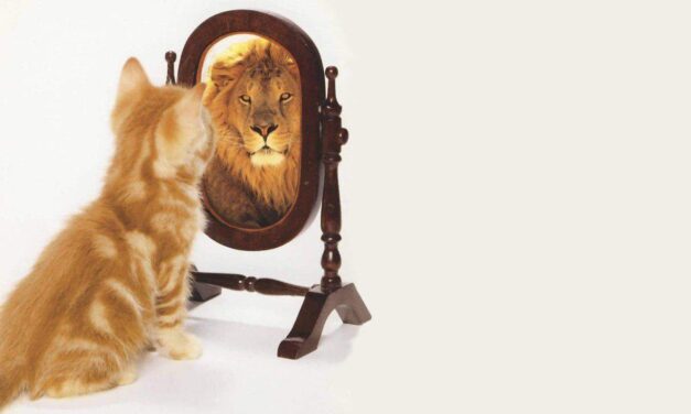 Everybody Will See…