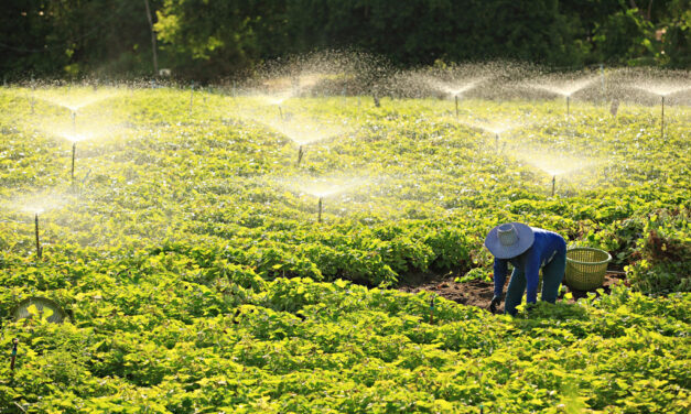 The Law of Sowing and Reaping
