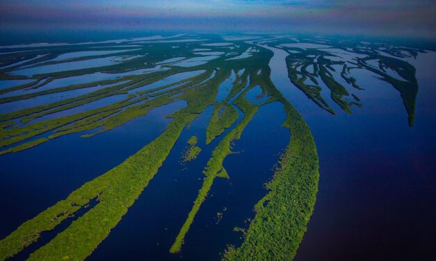 This River Could Quench the Thirst of the Whole Planet!