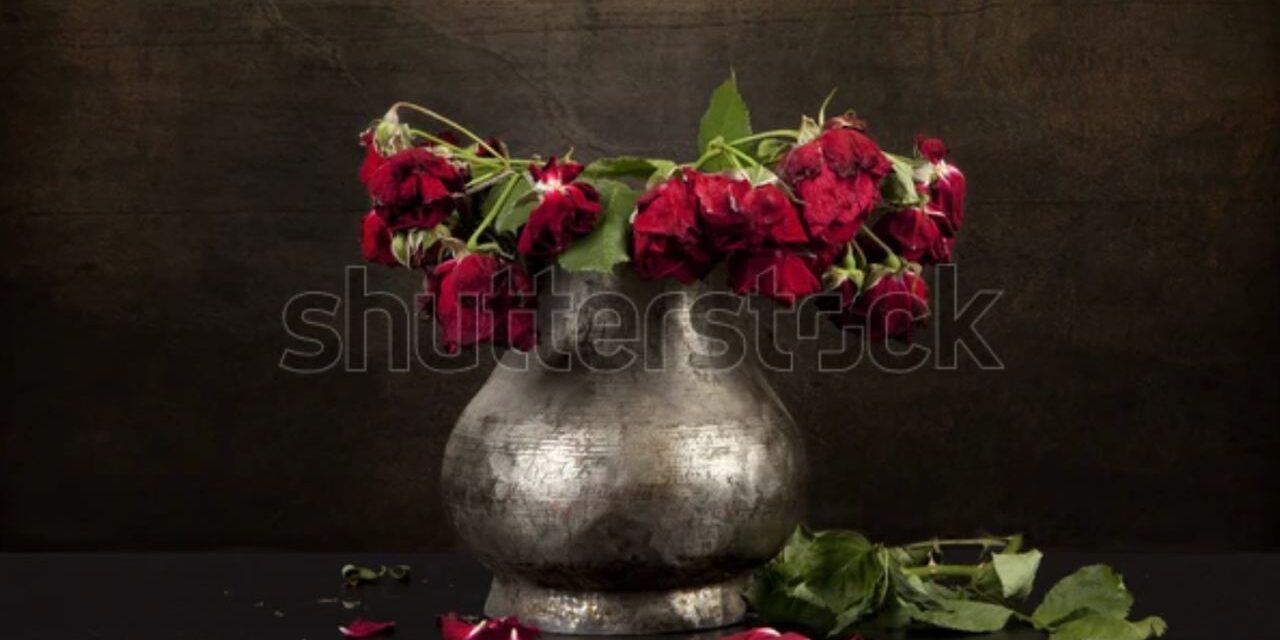 When Roses Die…