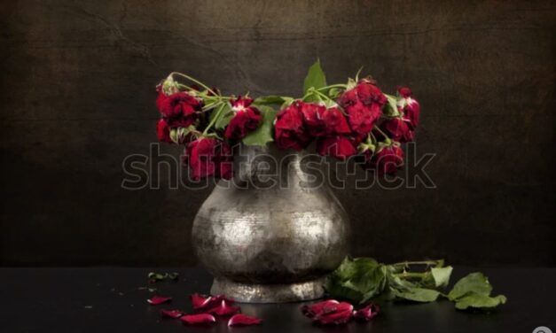 When Roses Die…
