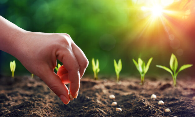 Reap What You Sow