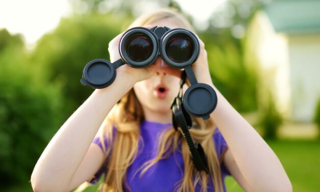 Curiosity