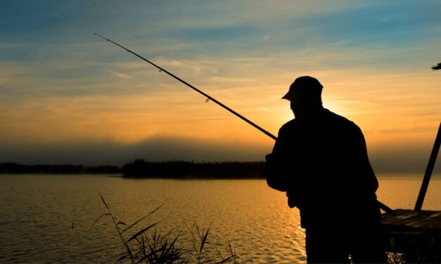 The Fish or the Fishing Rod?