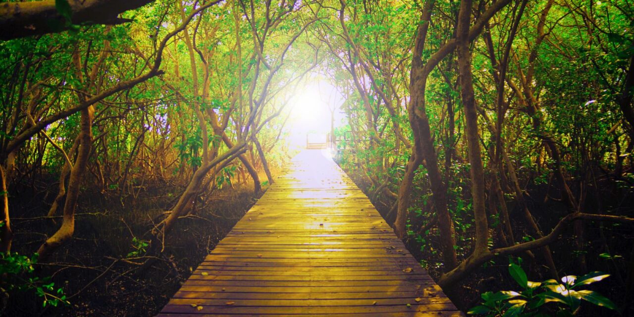 Walking in the Light
