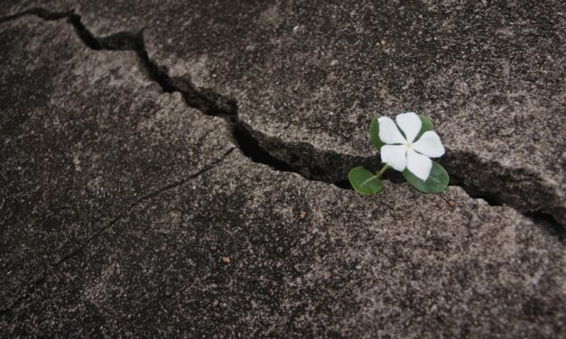 Finding Courage in Weakness