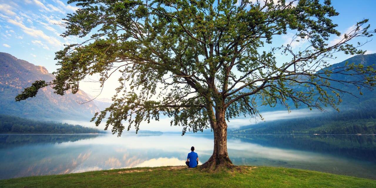 Deeply Rooted in God