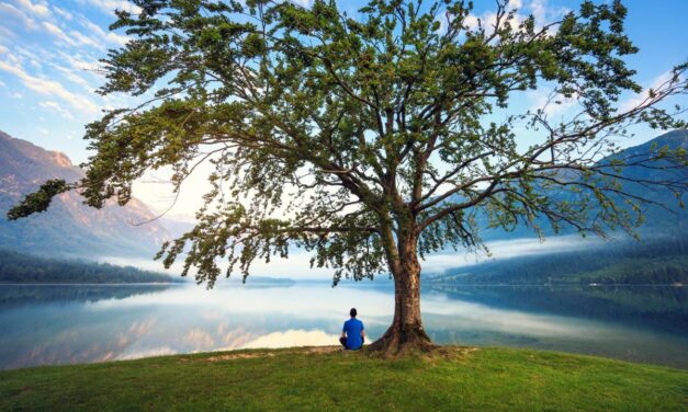 Deeply Rooted in God