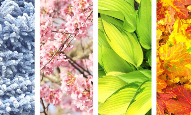 God Through Every Season