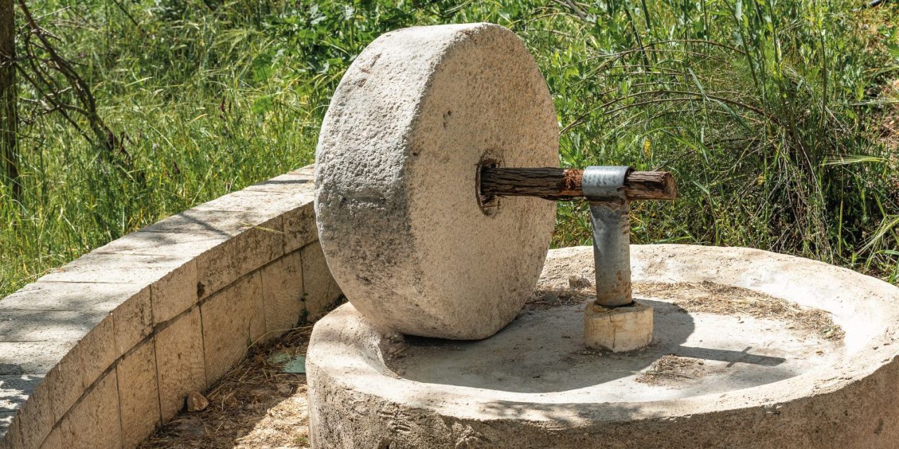 Wounded, Bruised, and Chastised