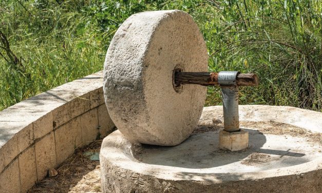 Wounded, Bruised, and Chastised