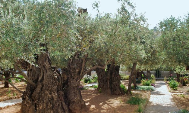 In Gethsemane, God Waits for You